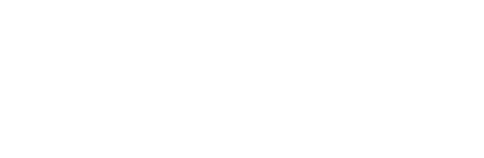 DMNZ
